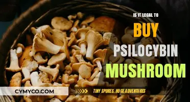 Exploring the Legal Landscape of Psilocybin Mushroom Purchases