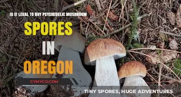 Exploring the Legality of Psychedelic Mushroom Spores in Oregon