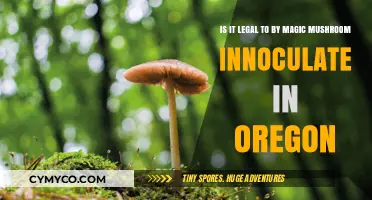 Exploring the Legality of Magic Mushroom Inoculation in Oregon
