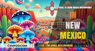 Exploring the Legality of Magic Mushroom Cultivation in New Mexico