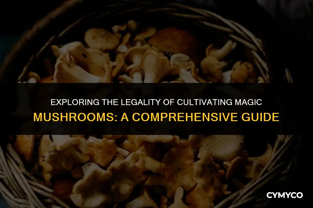 is it legal to grow magic mushrooms