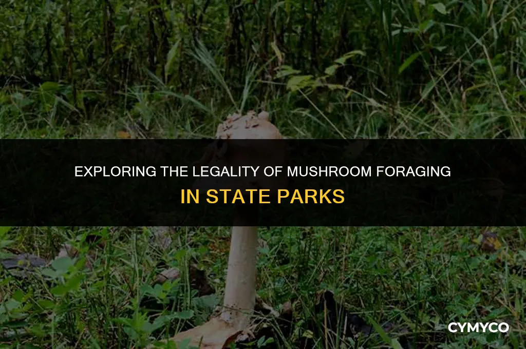 is it legal to harvest mushrooms in a state park
