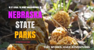 Exploring Nebraska State Parks: The Legality of Mushroom Hunting