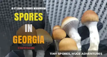 Exploring the Legality of Ordering Mushroom Spores in Georgia