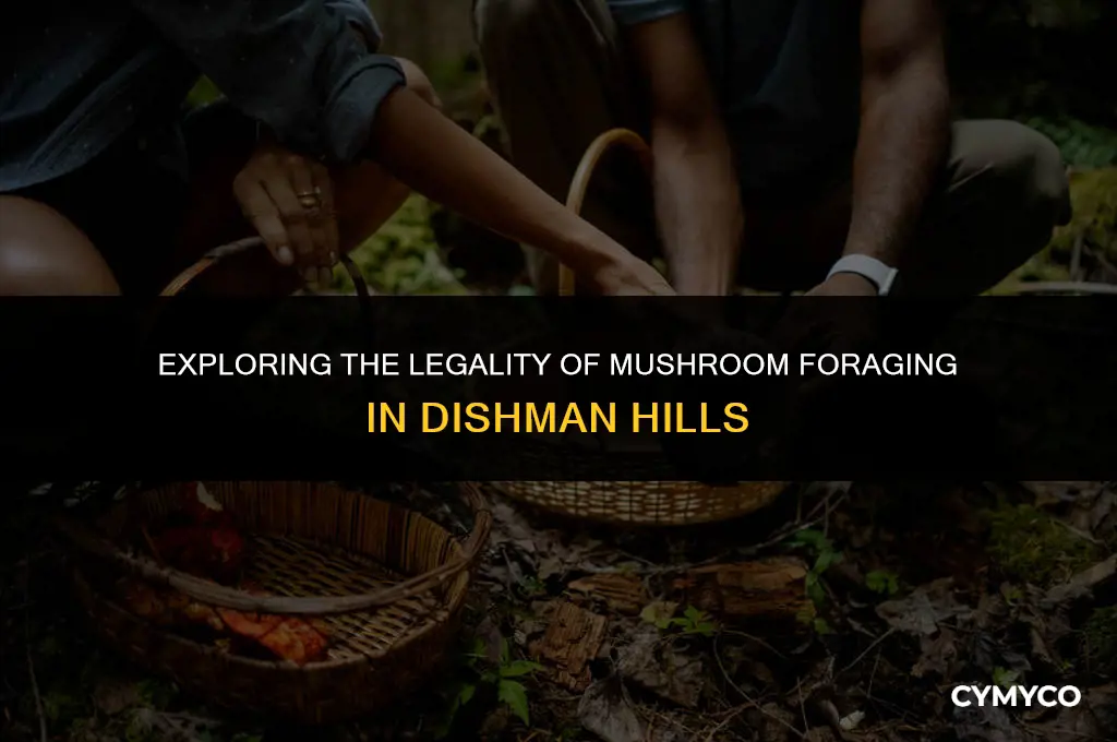 is it legal to pick mushrooms in dishman hills