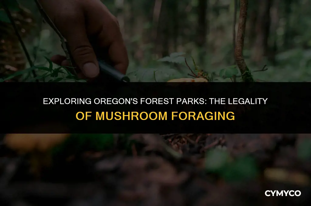 is it legal to pick mushrooms in forest park oregon