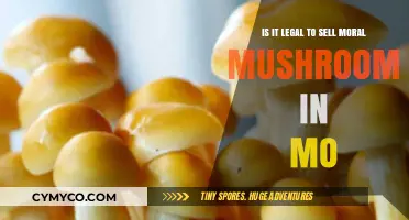 Exploring the Legality of Selling Magic Mushrooms in Missouri