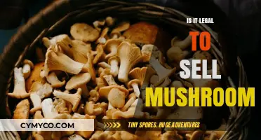 Exploring the Legality of Selling Mushrooms: A Comprehensive Guide