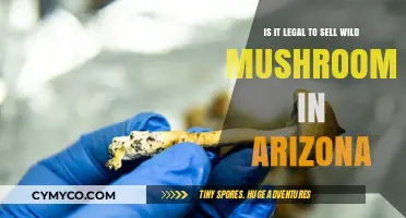 Exploring the Legality of Wild Mushroom Sales in Arizona
