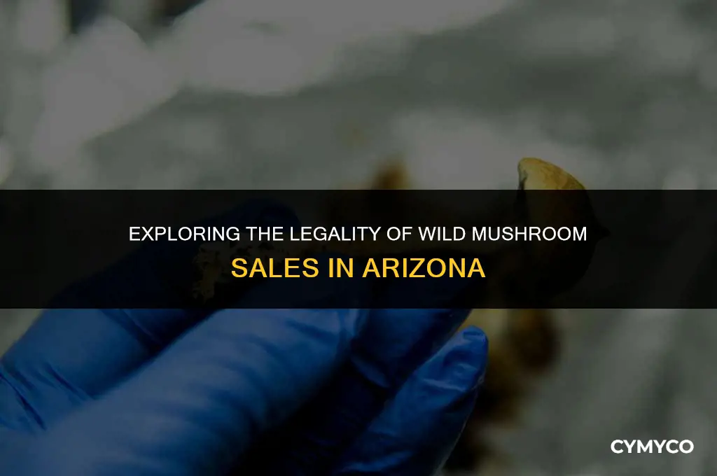 is it legal to sell wild mushrooms in arizona
