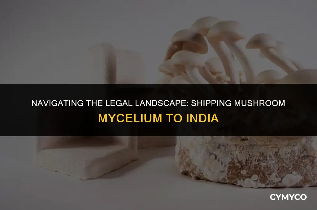 is it legal to send mushroom mycelium to india