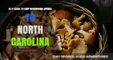 Exploring the Legality of Shipping Mushroom Spores to North Carolina
