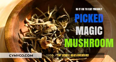 Exploring the Safety of Freshly Picked Magic Mushrooms: A Guide