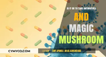 Exploring the Risks: Antibiotics and Magic Mushrooms Interaction