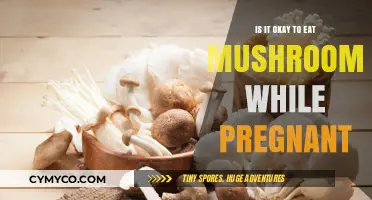 Pregnancy and Mushrooms: Safe to Eat or Best Avoided?