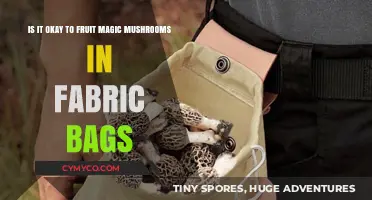 Exploring the Fabric Bag Method for Fruit Magic Mushrooms