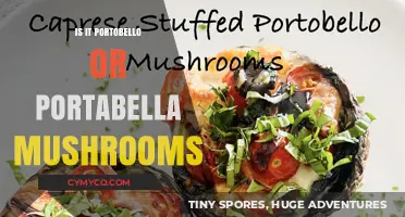 Portobello vs. Portabella: Unveiling the Truth Behind the Mushroom Mix-Up