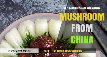 Sourcing Superior Mushrooms: A Guide to Chinese Quality