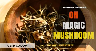 Exploring the Limits: Can You Overdose on Magic Mushrooms?