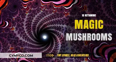 Exploring the Mystique: Ketamine and Magic Mushrooms Unveiled
