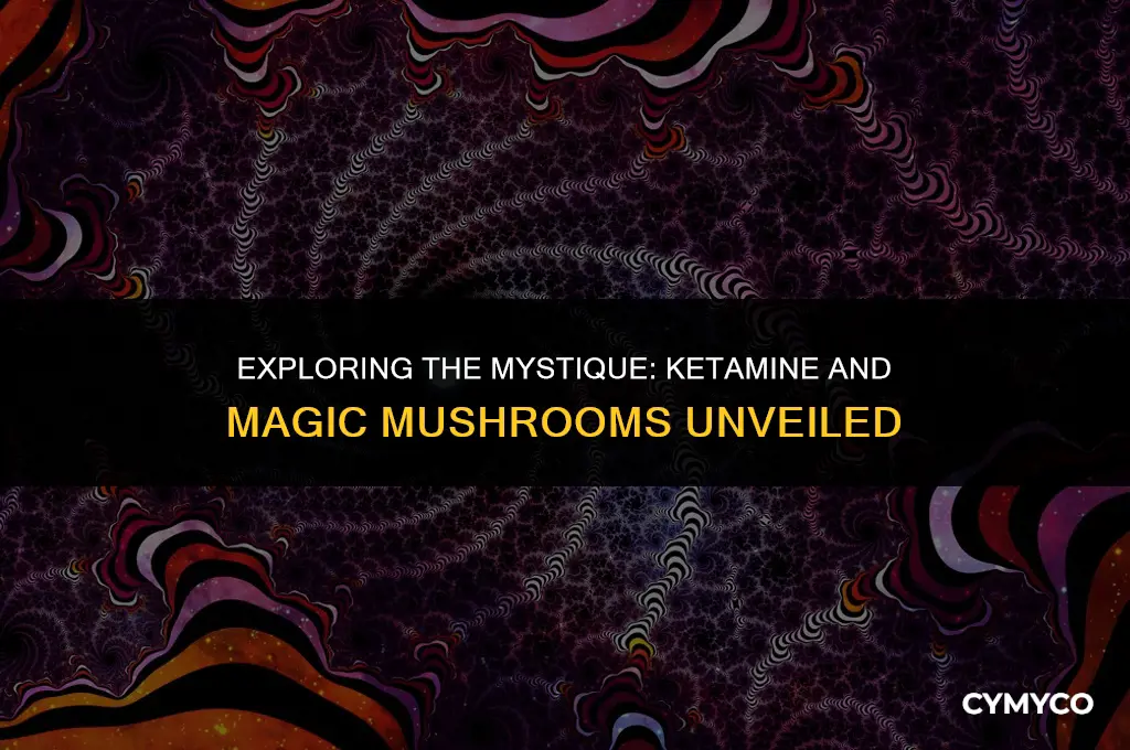 is ketamine magic mushrooms