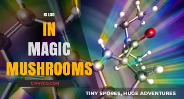 Exploring the Myth: Do Magic Mushrooms Naturally Contain LSD?