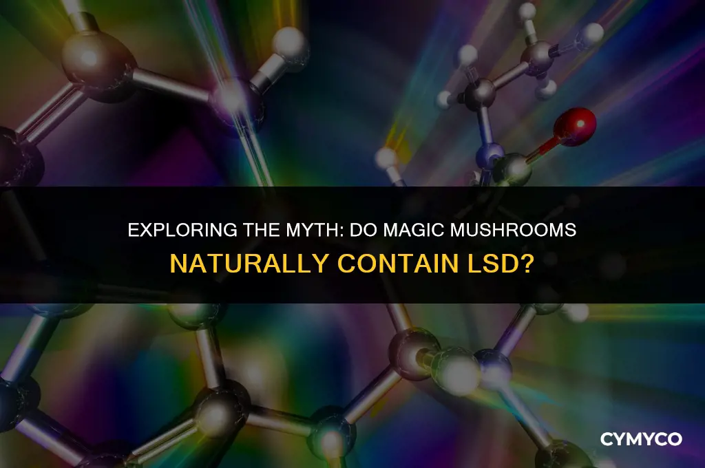 is lsd in magic mushrooms