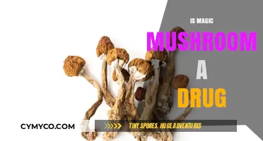 Exploring the Mystical Realm: Are Magic Mushrooms Drugs?