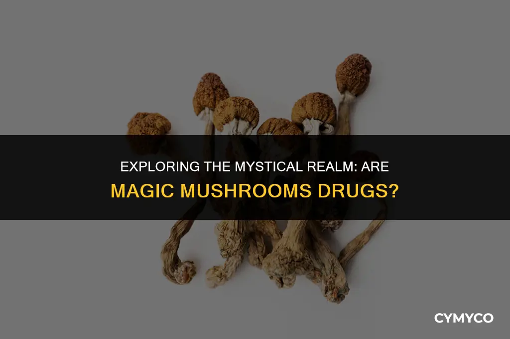 is magic mushroom a drug
