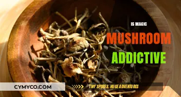 Exploring the Addictive Potential of Magic Mushrooms: A Comprehensive Guide