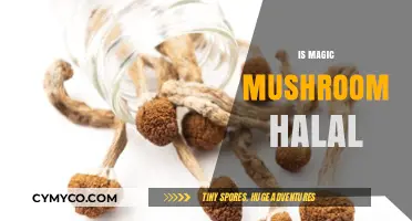 Exploring the Halal Status of Magic Mushrooms: A Comprehensive Guide