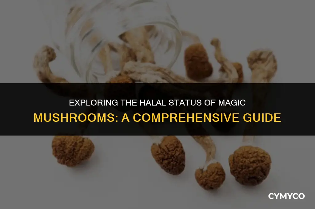 is magic mushroom halal