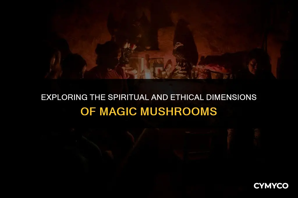 is magic mushroom haram