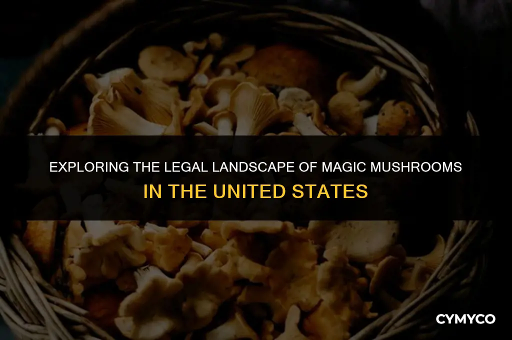 is magic mushroom illegal in us