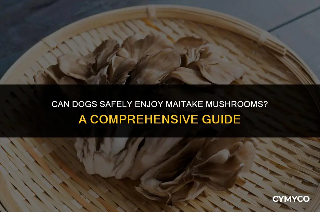 is maitake safe for dogs