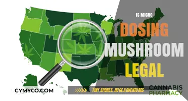 Exploring the Legal Landscape of Microdosing Mushrooms: A Comprehensive Guide