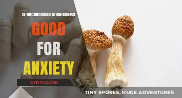 Exploring the Potential Benefits of Microdosing Mushrooms for Anxiety Relief