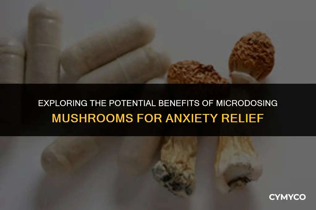 is microdosing mushrooms good for anxiety