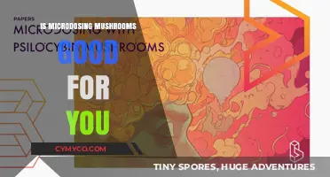 Exploring the Potential Health Benefits of Microdosing Mushrooms