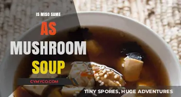 Miso vs. Mushroom Soup: Unraveling the Differences and Similarities
