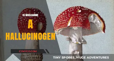 Exploring the Hallucinogenic Properties of Muscarine: A Comprehensive Guide