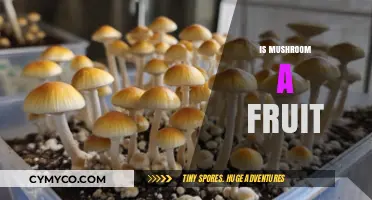 Are Mushrooms Fruits? Unraveling the Fungal Mystery and Classification
