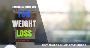 Mushroom Coffee for Weight Loss: Hype or Healthy Solution?