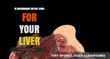 Exploring the Hepatic Benefits of Mushroom Coffee: A Comprehensive Guide