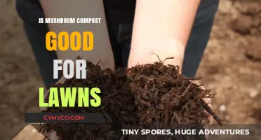 Mushroom Compost Benefits: Enhancing Lawn Health and Growth Naturally
