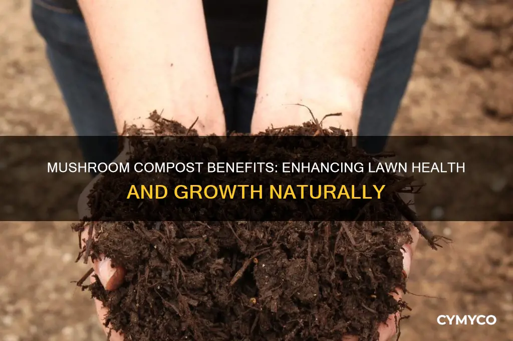 is mushroom compost good for lawns