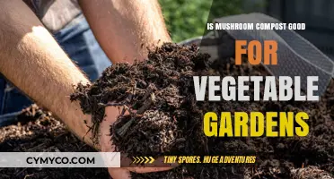Boosting Garden Growth: The Benefits of Mushroom Compost for Vegetables