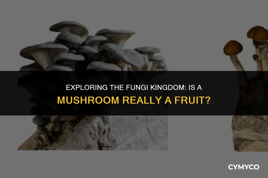 is mushroom considered a fruit