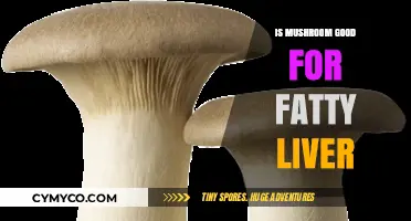 Exploring the Benefits of Mushrooms for Fatty Liver Health
