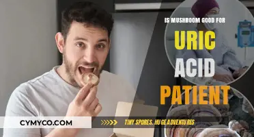 Exploring the Benefits of Mushrooms for Uric Acid Patients
